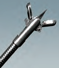 Oval Fenestrated Cup With Needle