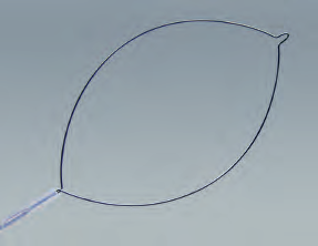Disposable Electrosurgical snare, Oval Loop, Monofilament wire
